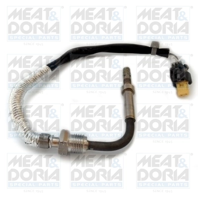 Sensor, exhaust gas temperature